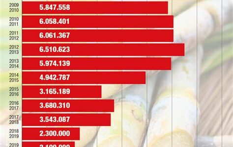 La producción de caña de azúcar en México disminuirá hasta un 20% este año debido a condiciones climáticas adversas y factores económicos.
