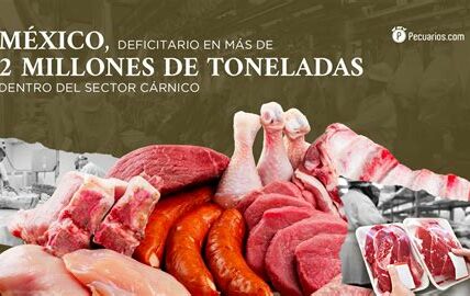 La demanda de carne en México supera la oferta local por primera vez en una década, llevando a un aumento de importaciones y un posible déficit comercial.