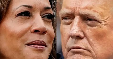 Los economistas prefieren a Kamala Harris sobre Donald Trump para la presidencia de 2024, destacando su impacto positivo en la estabilidad económica y el manejo de la Reserva Federal.