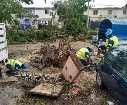 Las tormentas tropicales en Quintana Roo y Oaxaca han causado evacuaciones, daños en viviendas y cortes de energía. Las autoridades trabajan incansablemente para brindar apoyo a los afectados.