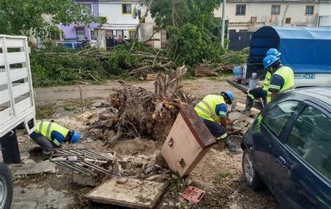 Las tormentas tropicales en Quintana Roo y Oaxaca han causado evacuaciones, daños en viviendas y cortes de energía. Las autoridades trabajan incansablemente para brindar apoyo a los afectados.