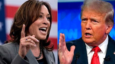 Encuesta: Kamala Harris y Donald Trump en empate técnico en Michigan y Wisconsin. La polarización y la competencia cerrada destacan la importancia de estos estados en las elecciones de 2024.