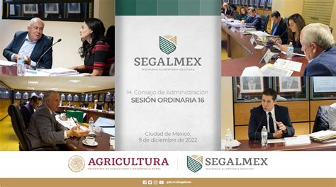 La fusión de Segalmex y Diconsa busca optimizar recursos, mejorar la distribución de alimentos y apoyar a comunidades rurales y marginadas en México.