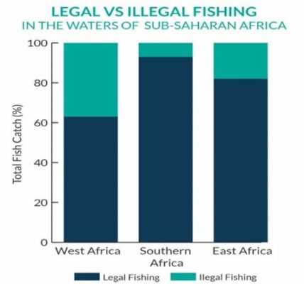 La sobrepesca china en África Occidental amenaza la seguridad alimentaria y la economía local al reducir drásticamente las poblaciones de peces y destruir ecosistemas marinos.