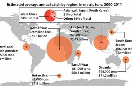 Las flotas pesqueras chinas en África Occidental amenazan economías locales, ecosistemas marinos y la seguridad alimentaria, reduciendo capturas y empleos significativamente.