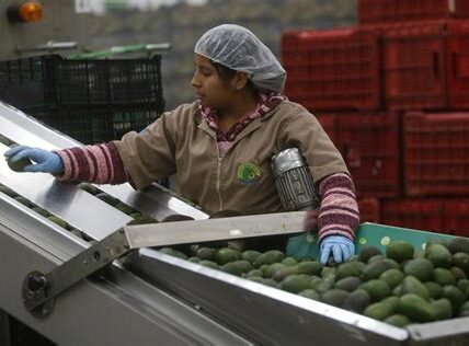 La producción agrícola en México no sigue el ritmo de demanda, aumentando precios y dependencia en importaciones. Urgen cambios estructurales y mejoras tecnológicas para autosuficiencia alimentaria.