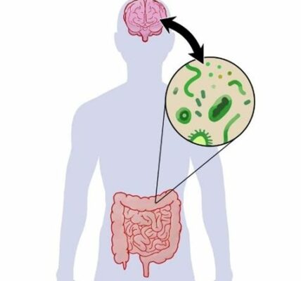 Una microbiota intestinal saludable es vital para el bienestar mental, influye en la producción de serotonina y puede reducir síntomas de depresión y ansiedad.