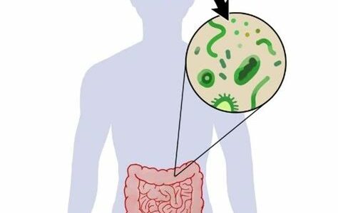 Una microbiota intestinal saludable es vital para el bienestar mental, influye en la producción de serotonina y puede reducir síntomas de depresión y ansiedad.