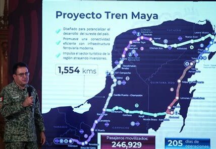 La tala de 219 hectáreas en Quintana Roo por el Tren Maya cuestiona los compromisos ambientales del gobierno federal y provoca reacciones de ambientalistas.