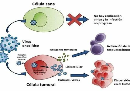 Estudio revela que ciertos patógenos pueden influir en la aparición de cáncer, abriendo vías para tratamientos y prevención.