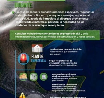 Huracán Helene causa estragos en Florida: vientos de 210 km/h, miles sin electricidad. Autoridades instan a evacuación y medidas preventivas.