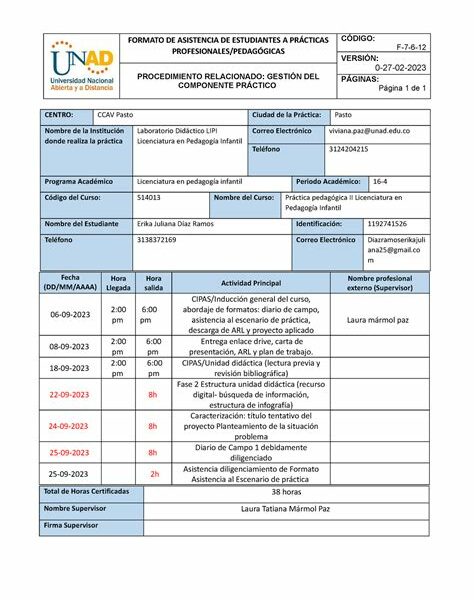 El Festival Cervantino enfrenta una baja del 20% en asistencia; clima y seguridad entre los factores. Optimismo para mejorar la experiencia el próximo año.