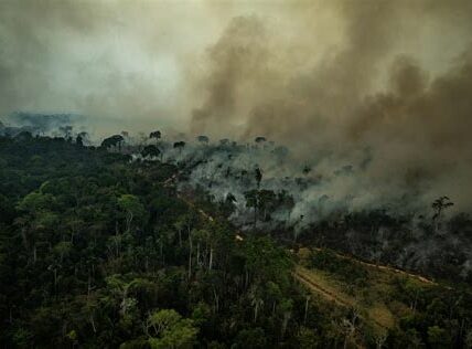 Incendios forestales devastan el Amazonas, afectando el clima global y comunidades locales; urgencia internacional para proteger este crucial ecosistema.