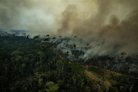 Incendios forestales devastan el Amazonas, afectando el clima global y comunidades locales; urgencia internacional para proteger este crucial ecosistema.