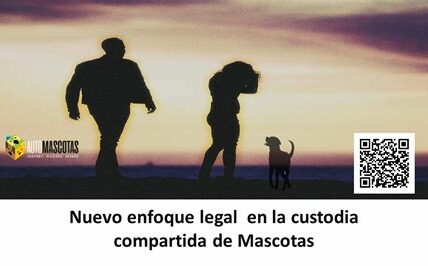 en su bienestar. Custodia de mascotas: reforma legal en México busca tratar a los animales como seres sintientes en divorcios, priorizando su bienestar sobre la propiedad física.