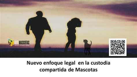 en su bienestar. Custodia de mascotas: reforma legal en México busca tratar a los animales como seres sintientes en divorcios, priorizando su bienestar sobre la propiedad física.