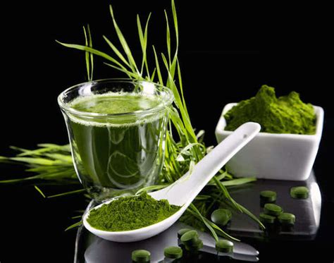 La espirulina, rica en proteínas y nutrientes, fortalece el sistema inmunológico y es ideal para dietas vegetales y vegetarianas.