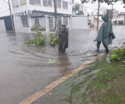 El huracán Milton golpeó Yucatán, causando inundaciones, cortes de luz y pérdidas agrícolas. Las autoridades trabajan en la recuperación y protección de la población afectada.