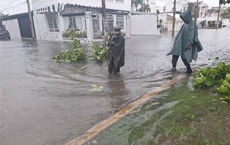 El huracán Milton golpeó Yucatán, causando inundaciones, cortes de luz y pérdidas agrícolas. Las autoridades trabajan en la recuperación y protección de la población afectada.