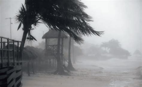 El huracán Milton podría impactar la participación electoral en EE. UU., afectando estados clave y generando preocupación por el clima y la seguridad en las votaciones.