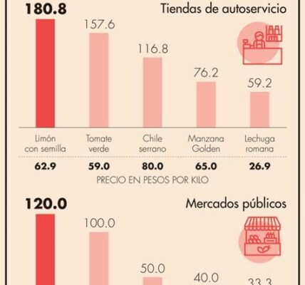 Precios de la canasta básica aumentan por inflación y costos, afectando a familias. Es urgente buscar soluciones efectivas para mejorar accesibilidad y seguridad alimentaria.