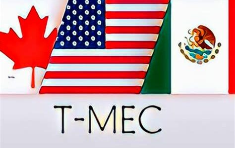 Empresarios mexicanos advierten que reformas judiciales pueden afectar inversiones y el T-MEC, generando incertidumbre jurídica y debilitando la confianza internacional. Prioridad: diálogo y estabilidad económica.