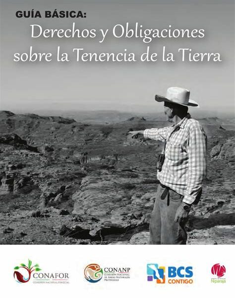 LitioMx enfrenta retos en Sonora por la adquisición de tierras; resolverlos es clave para aprovechar las reservas de litio y beneficiar a México.