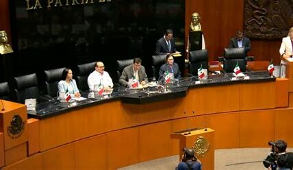 Reforma judicial busca transparencia y eficiencia, mientras el Senado acelera proceso; oposición pide análisis exhaustivo para evitar errores. Expectativas ciudadanas en juego.