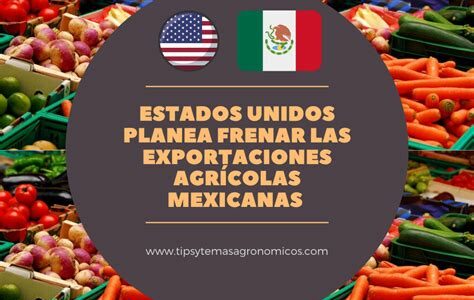 Aranceles afectan exportaciones mexicanas de tomate, aguacate y cítricos; agricultores urgen soluciones y diversificación de mercados para preservar competitividad y sustento económico.