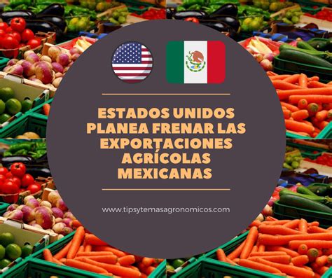 Aranceles afectan exportaciones mexicanas de tomate, aguacate y cítricos; agricultores urgen soluciones y diversificación de mercados para preservar competitividad y sustento económico.