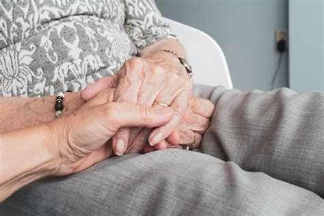 Cuidados paliativos en casa: Silvia Pinal recibe atención y amor familiar para mejorar su calidad de vida en esta delicada etapa a sus 92 años.