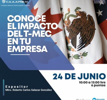 Los grupos de trabajo del T-MEC aseguran una implementación efectiva, fomentando diálogo y soluciones, fortaleciendo el comercio y protegiendo los intereses de México.