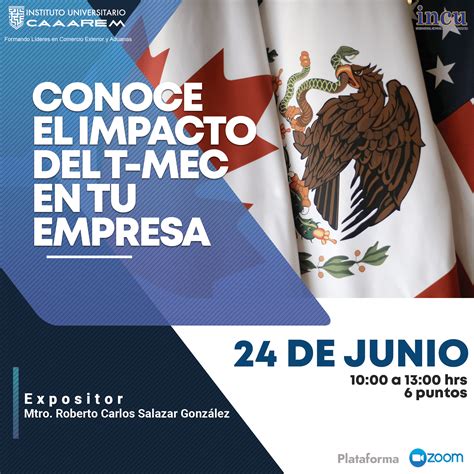 Los grupos de trabajo del T-MEC aseguran una implementación efectiva, fomentando diálogo y soluciones, fortaleciendo el comercio y protegiendo los intereses de México.