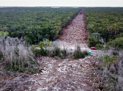 El Tren Maya complica vialidades en Yucatán: 17 carreteras afectadas, desvíos y más tiempo de viaje para conductores. Autoridades trabajan en reparaciones rápidas y seguras.