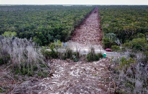 El Tren Maya complica vialidades en Yucatán: 17 carreteras afectadas, desvíos y más tiempo de viaje para conductores. Autoridades trabajan en reparaciones rápidas y seguras.