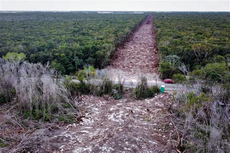 El Tren Maya complica vialidades en Yucatán: 17 carreteras afectadas, desvíos y más tiempo de viaje para conductores. Autoridades trabajan en reparaciones rápidas y seguras.