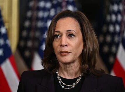 Kamala Harris llama a la unidad y perseverancia demócrata tras resultados electorales decepcionantes, enfatizando el enfoque en prioridades clave y el fortalecimiento comunitario.