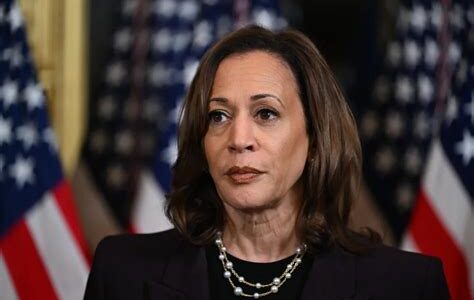 Kamala Harris llama a la unidad y perseverancia demócrata tras resultados electorales decepcionantes, enfatizando el enfoque en prioridades clave y el fortalecimiento comunitario.