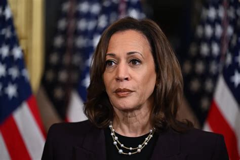 Kamala Harris llama a la unidad y perseverancia demócrata tras resultados electorales decepcionantes, enfatizando el enfoque en prioridades clave y el fortalecimiento comunitario.