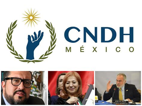 El proceso de selección de Carolina Piedra para la CNDH fue autónomo, basado en experiencia y liderazgo, asegurando transparencia e independencia.