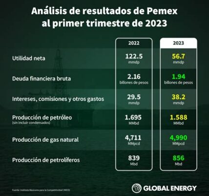 El presupuesto de 2024 determinará el futuro de Pemex y CFE, enfrentando el desafío de equilibrar apoyo con otras prioridades económicas.