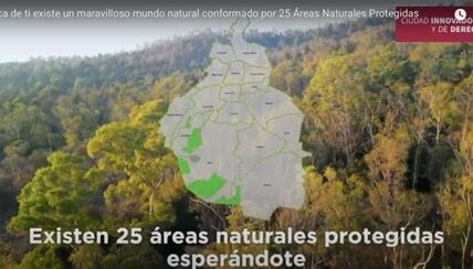 Las áreas naturales protegidas en CDMX están en peligro por urbanización y falta de vigilancia. Urge intervención para preservar nuestra biodiversidad.