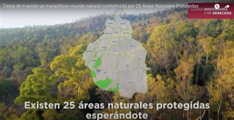 Las áreas naturales protegidas en CDMX están en peligro por urbanización y falta de vigilancia. Urge intervención para preservar nuestra biodiversidad.