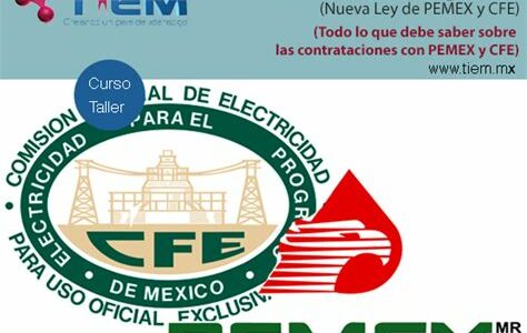 La reforma energética podría limitar inversión privada y afectar competitividad de Pemex y CFE, poniendo en riesgo su eficiencia y modernización.