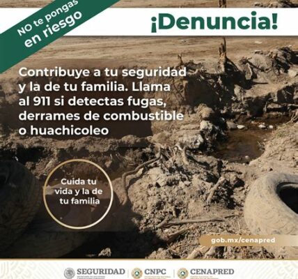 Descubren toma clandestina de diésel en CDMX, elevando preocupaciones de seguridad y resaltando la necesidad de intensificar monitoreo en redes de distribución de combustible.