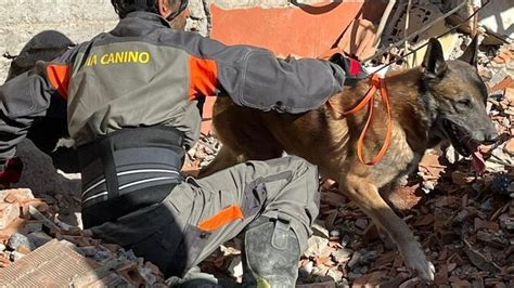 La SCJN reafirma la importancia de proteger a los animales de servicio, condenando al acusado y marcando un precedente crucial en la justicia mexicana.