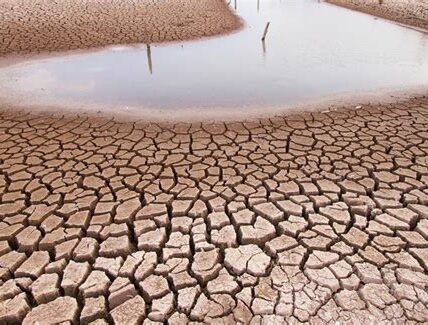 La sequía amenaza la agricultura en México, impactando la producción y precios de alimentos; urge acción gubernamental para mitigar la crisis.