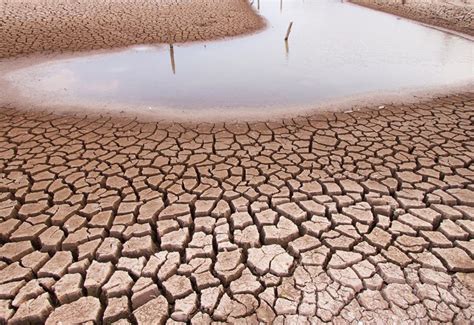 La sequía amenaza la agricultura en México, impactando la producción y precios de alimentos; urge acción gubernamental para mitigar la crisis.