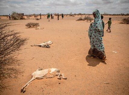 La crisis en Somalia ha desbordado los campamentos de refugiados en Kenia, poniendo en riesgo a miles de personas. Se requiere urgente apoyo internacional.