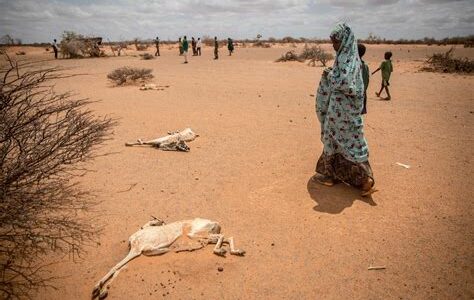 La crisis en Somalia ha desbordado los campamentos de refugiados en Kenia, poniendo en riesgo a miles de personas. Se requiere urgente apoyo internacional.